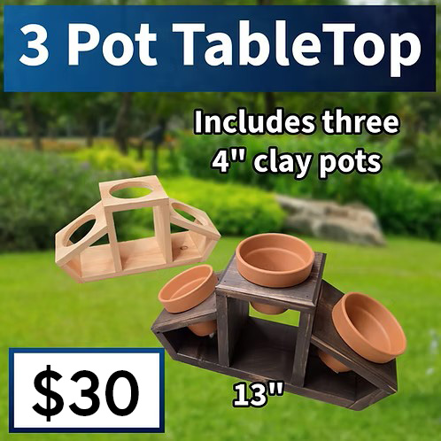 3 Pot Tabletop Planter with Pricing